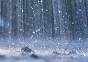 برازجان با ۹۲ میلی‌متر باران رکوردار بیشترین میزان بارش سامانه اخیر شد