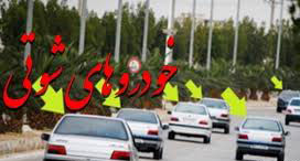 ارسالی شهروندان:خودرو شوتی  در دشتستان حادثه دیگر آفرید.،جلو شوتی ها را بگیرید 