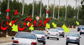 ارسالی شهروندان:خودرو شوتی در دشتستان حادثه دیگر آفرید.،جلو شوتی ها را بگیرید
