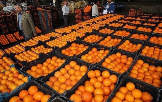 افزایش قیمت میوه و تره بار دراستان  بوشهر؛ کرونا به جان بازار میوه افتاد
