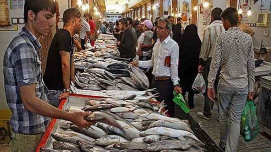 گرانی سرسام آور ماهی در دشتستان و بوشهر ،هامور کیلویی 250هزارتومان!حلواسفید هرکیلو 500هزارتومان!فروشندگان:علت گرانی ماهی صادرات به کشورهای عربی است+جزئیات 