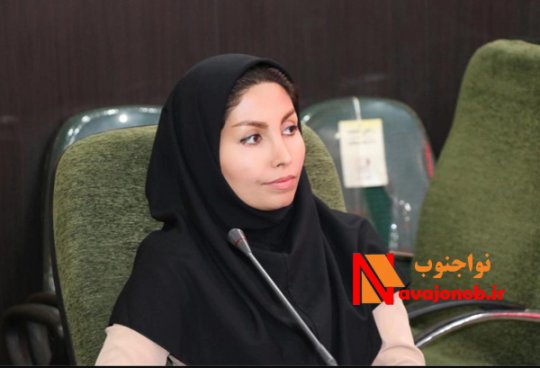 شورای شهرستان دیر از تمام ابزارهای قانونی برای پیگیری مطالبات مردم استفاده می کند