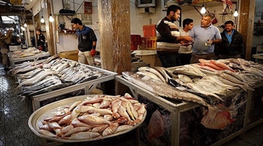 مردم استان بوشهر در حسرت ماهی ،دلار ماهی استان بوشهر را گران کرد!