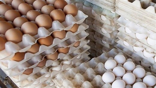 صبح امروز،تخم مرغ در برازجان شانه ای 33000تومان!کم درآمدها چه بخورند؟