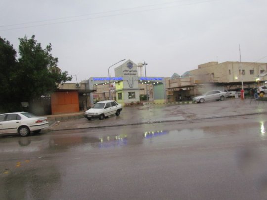 بارش باران در شهرستان دشتستان از شب گذشته ادامه دارد +تصاویر