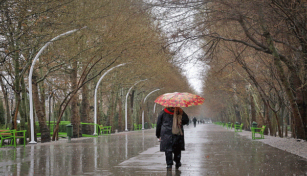 پیش‌بینی باران و وزش باد برای استان بوشهر +جزئیات