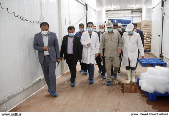بازدیدهای استاندار بوشهر از مراکز مختلف صنعتی و اقتصادی استان +گزارش تصویری