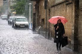 باد و باران در راه استان بوشهر 