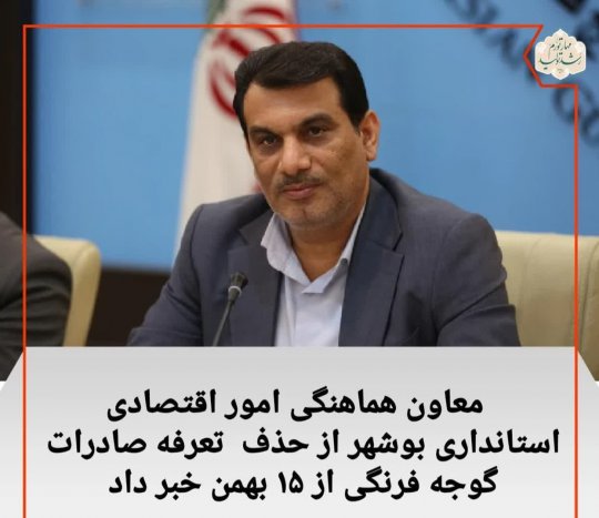 معاون هماهنگی امور اقتصادی استانداری بوشهر: حذف عوارض صادراتی گوجه فرنگی از 15 بهمن اجرایی می شود +جزئیات
