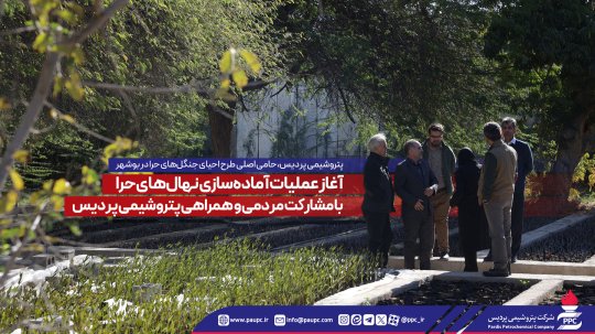 آغاز عملیات آمادهسازی نهالهای حرا با مشاركت مردمی و همراهی پتروشیمی پردیس