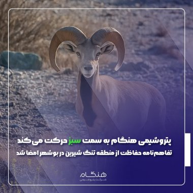 پتروشیمی هنگام به سمت سبز حرکت میکند؛ تفاهمنامه حفاظت از منطقه تنگ شیرین در بوشهر امضا شد+تصویر