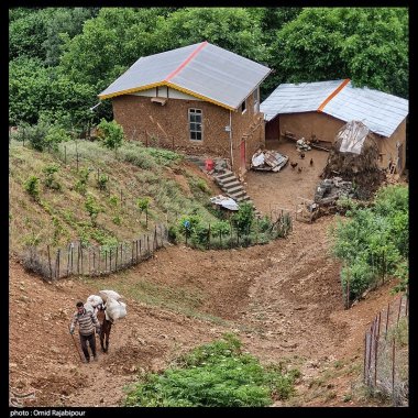 زندگی روستایی 