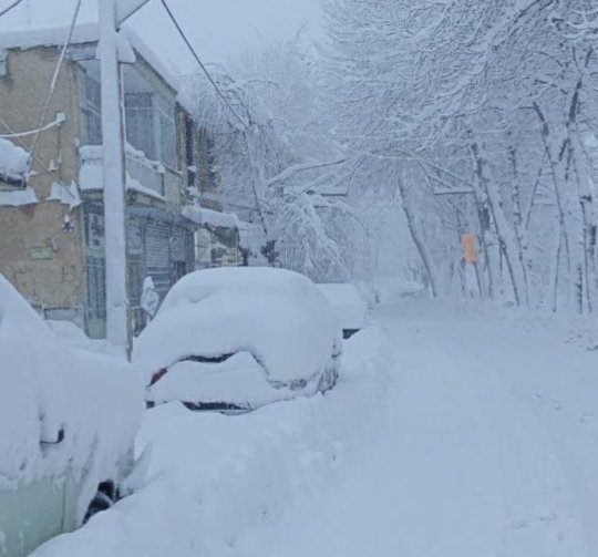 عکس/ فریدونشهر اصفهان زیر بارش برف دفن شد