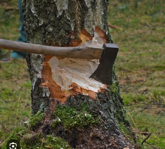 وقتی در سخت ترین روزهای جنگ اقتصادی موفق ترین مدیران پتروشیمی آماج تیرهای زهراگین قرار گرفته اند،ما ایستاده ایم در سخت ترین شرایط