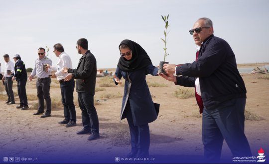 آغاز طرح كاشت درختان حرا در دیر با حمایت ۱۵ میلیارد ریالی پتروشیمی پردیس