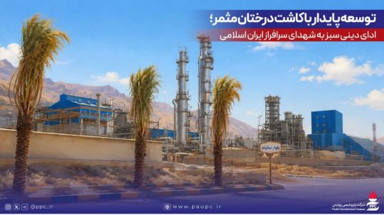 شرکت پتروشیمی پردیس: توسعه پایدار با کاشت درختان مثمر؛ ادای دینی سبز به شهدای سرافراز ایران اسلامی