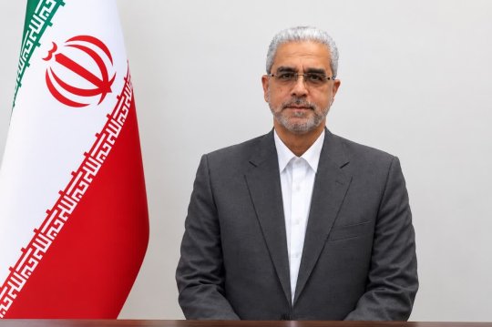 بهزاد انصاری مدیرعامل مخازن سبز پتروشیمی عسلویه ابقا شد